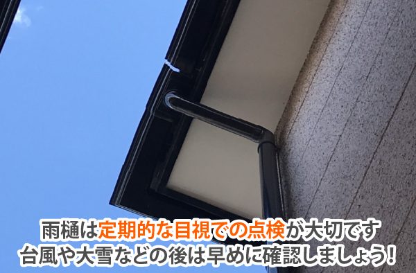 雨樋