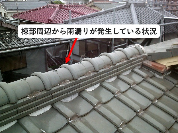 釉薬シルバー色の棟