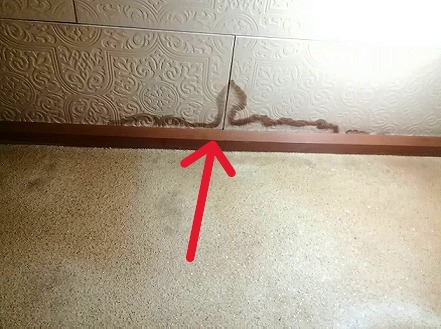 加古川市にて雨漏り修理を行った住宅の壁際雨漏りの痕