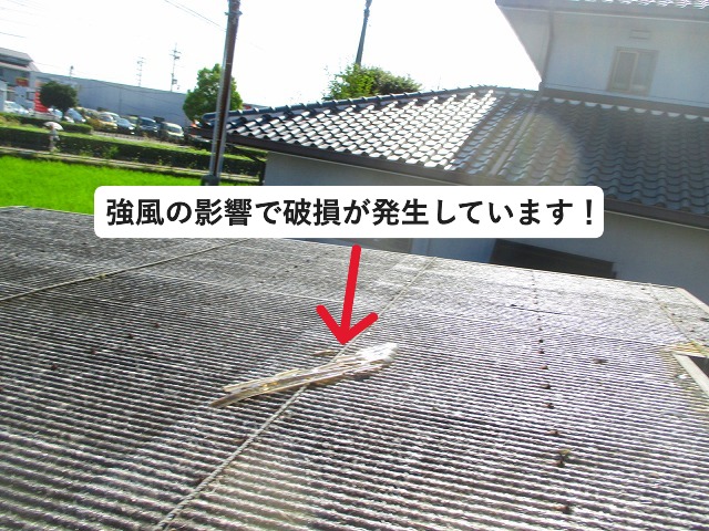 加古郡播磨町にて強風の影響で破損した波板