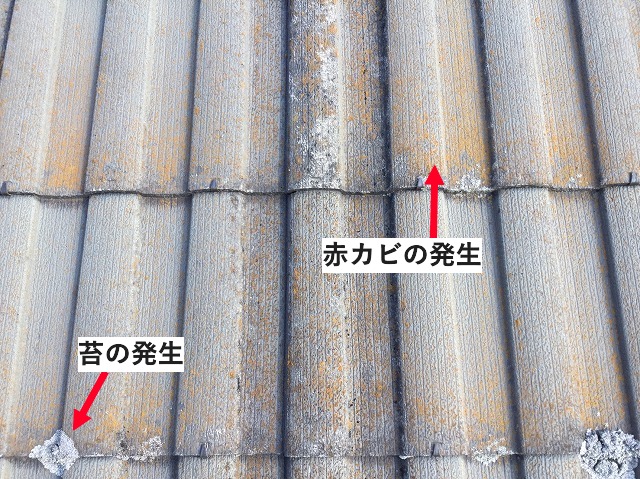 褪色・赤カビ・苔の発生している屋根材