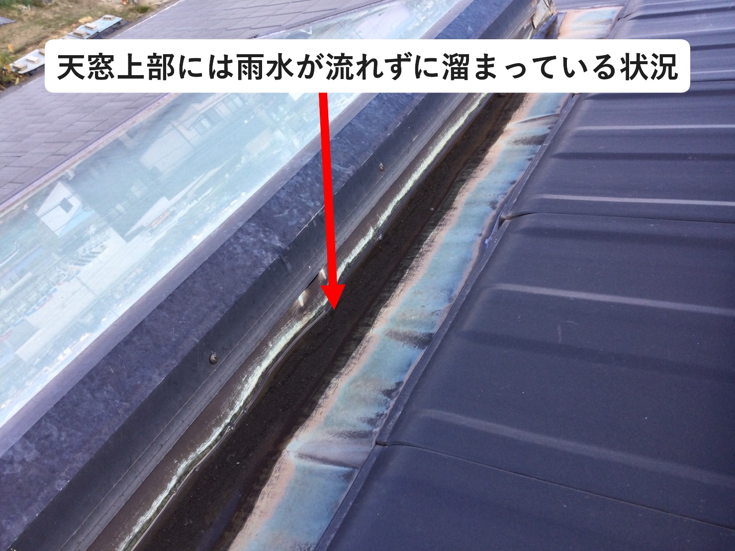 雨水が溜まっている天窓