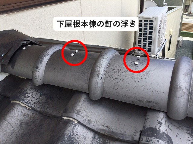 釘が浮き上がってきている下屋根棟