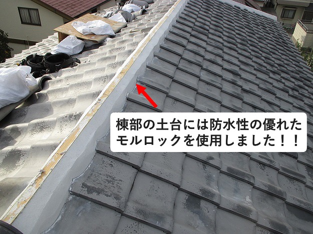 モルロックにて仕上げた棟土台