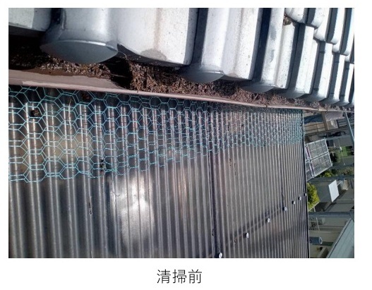 加古川市　ハト対策　清掃前