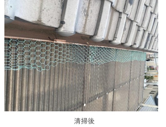 加古川市　清掃後　ハト対策工事