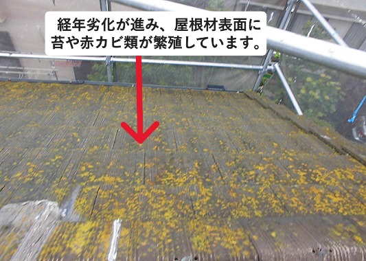 神戸市西区にて経年劣化が進んだモニエル瓦