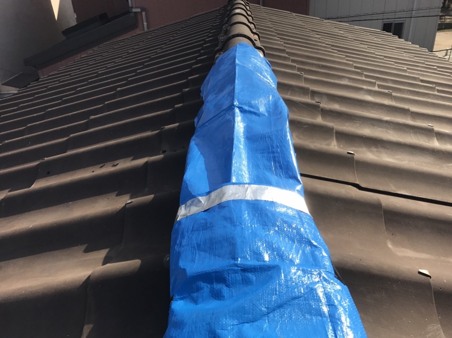 屋根　養生　補修