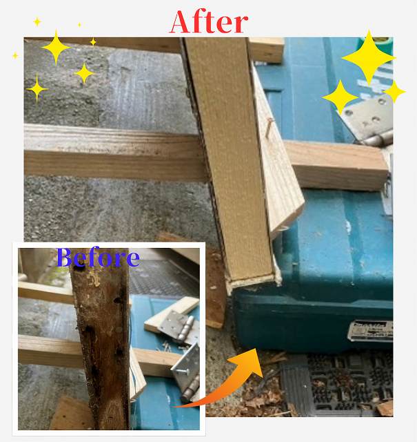 ビフォーアフター