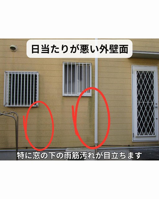 外壁　カビ　苔　雨筋汚れ