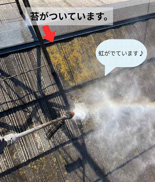 苔　高圧洗浄中