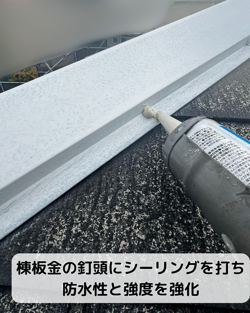 棟板金　釘　シーリング