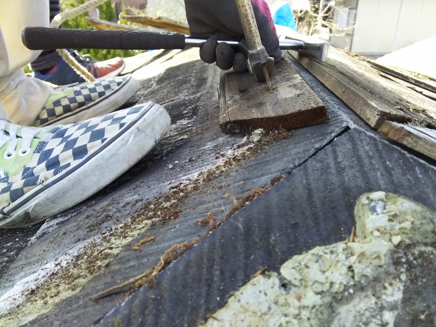 貫下のゴミの様子