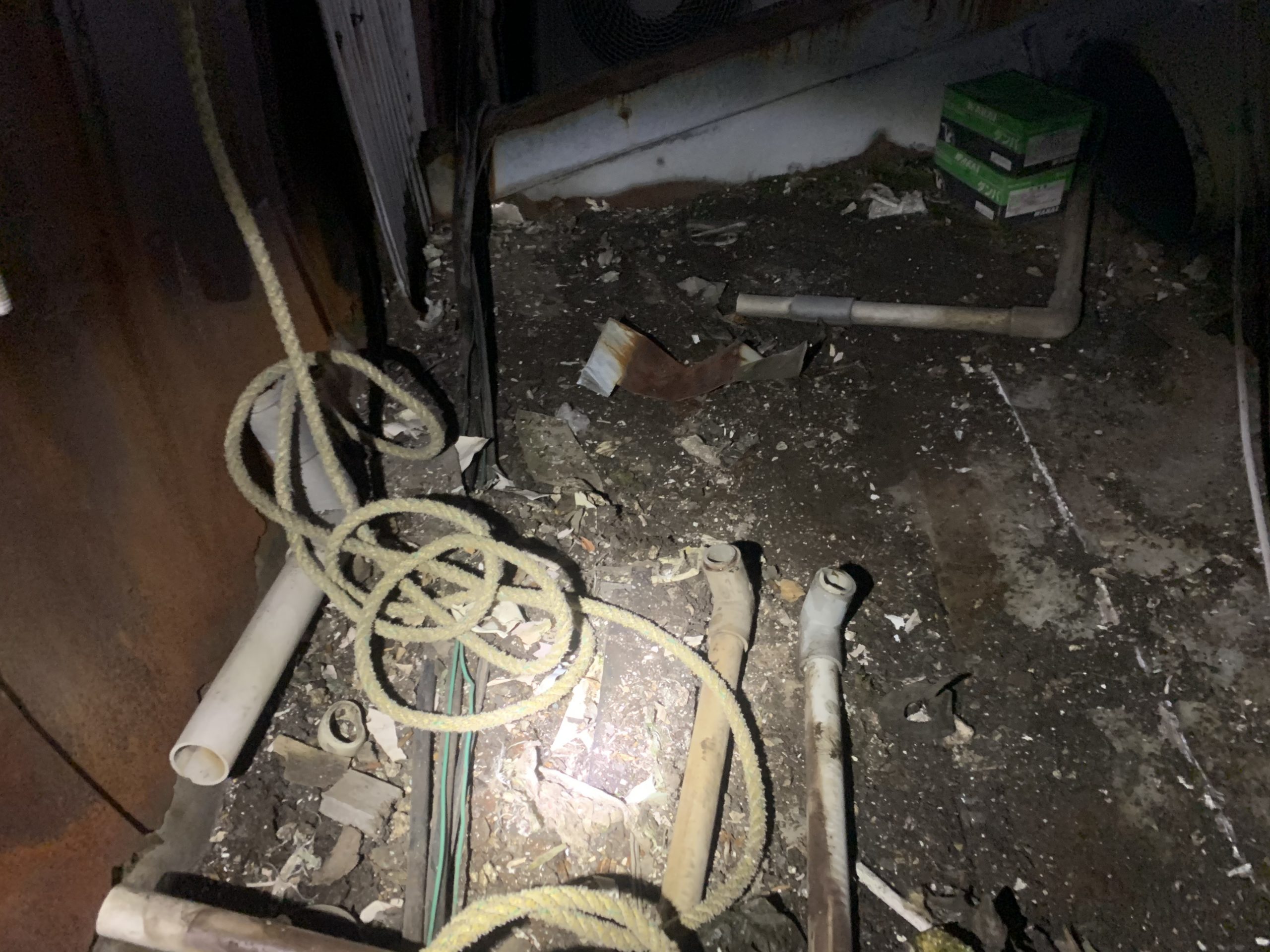 屋根上廃材清掃