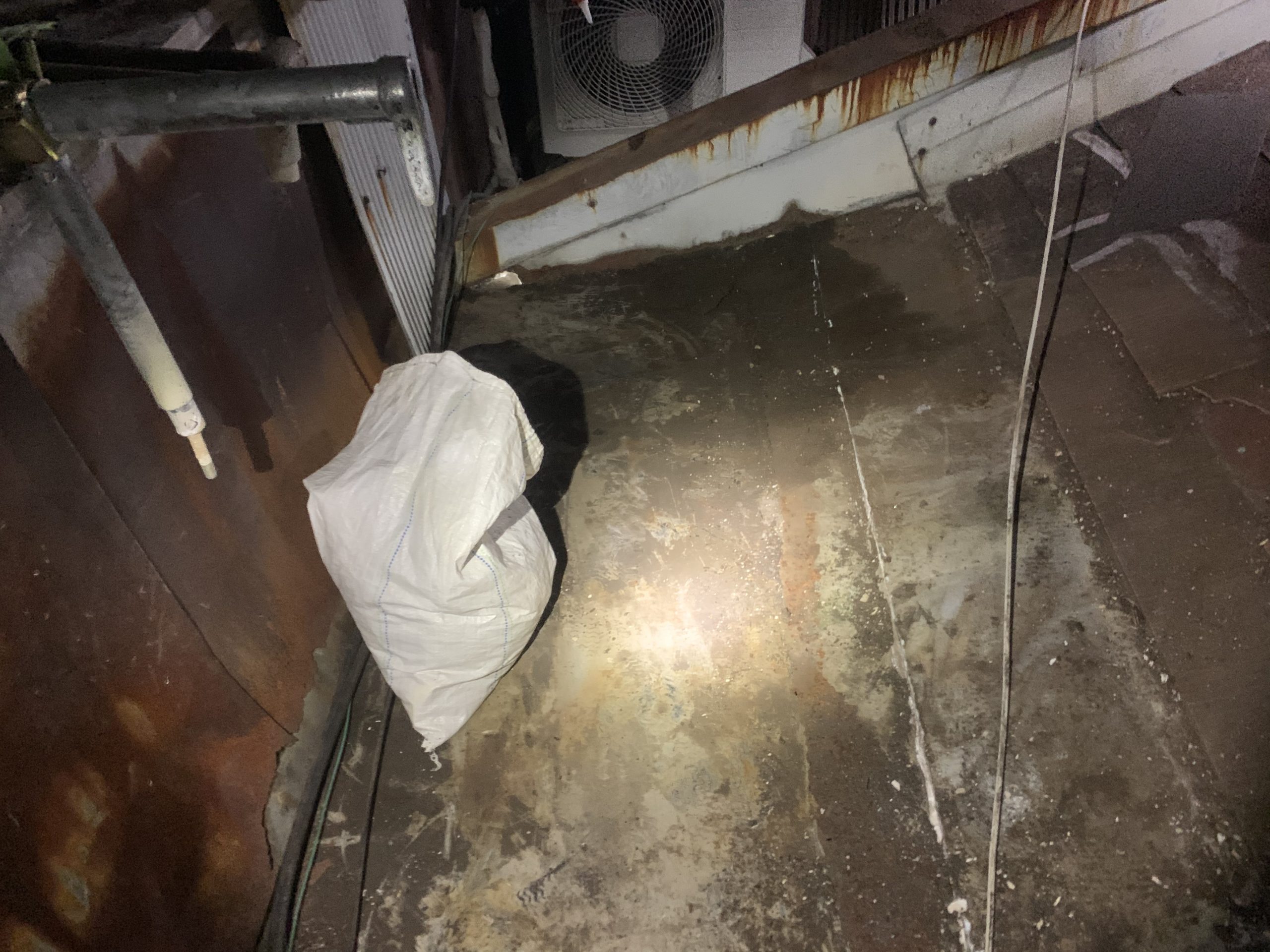 屋根上廃材清掃後