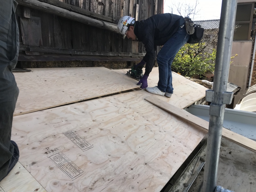 垂木を狙い、新しい野地板を作ります。