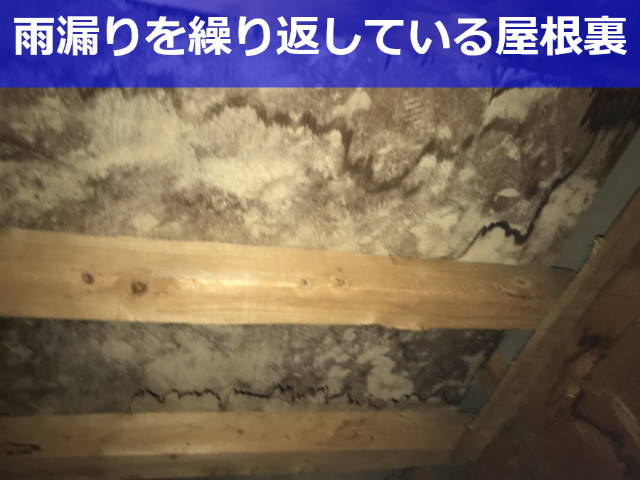 雨漏りし続ける屋根裏