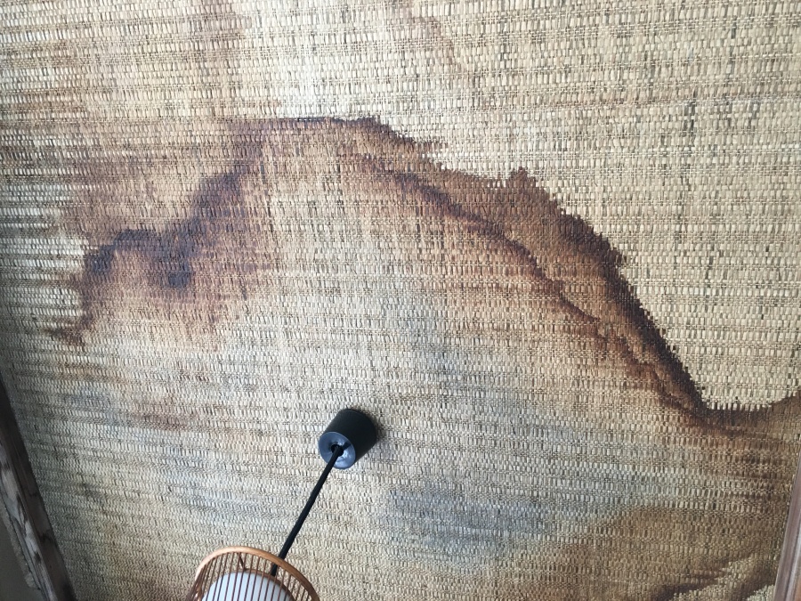 天井に広がる雨染み