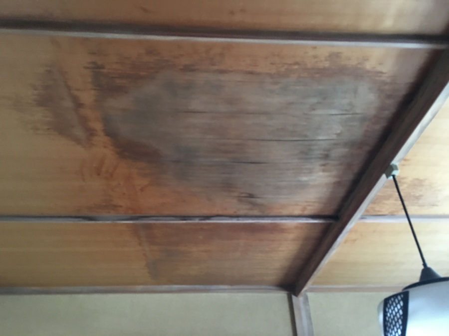 天井の雨染み　屋根からの雨水の浸入は間違いないでしょう