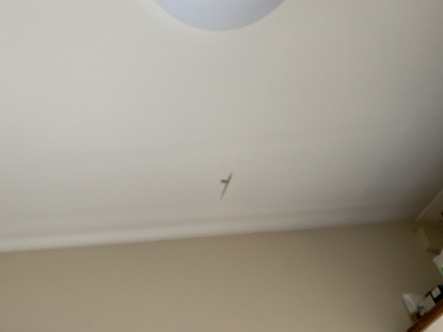 屋根リフォーム前点検で発見した２階天井雨漏り箇所