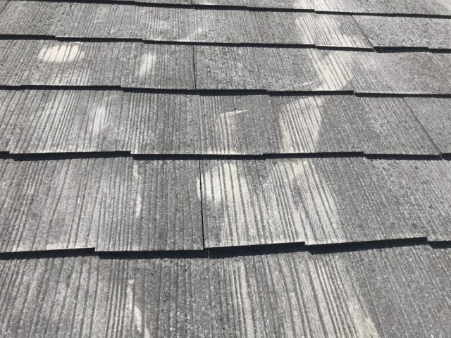 カラーベストの苔の生え