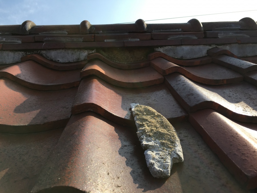 屋根面に転がった漆喰の破片