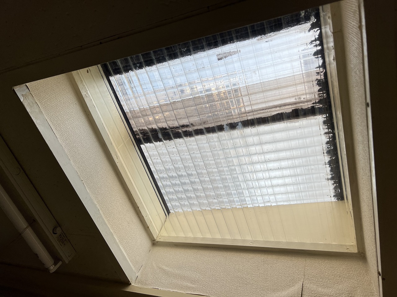 室内からの天窓の様子