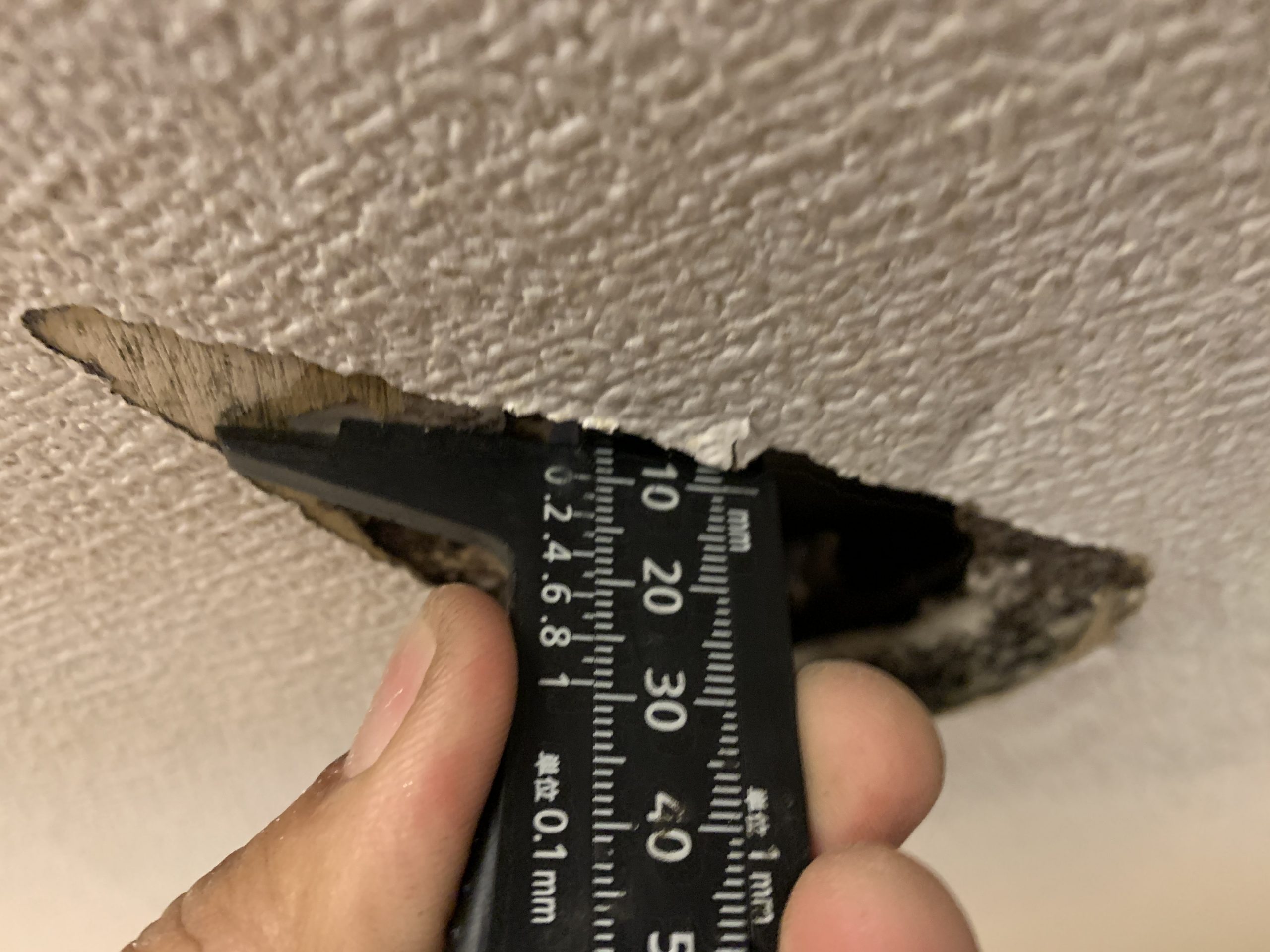 雨漏り発生箇所