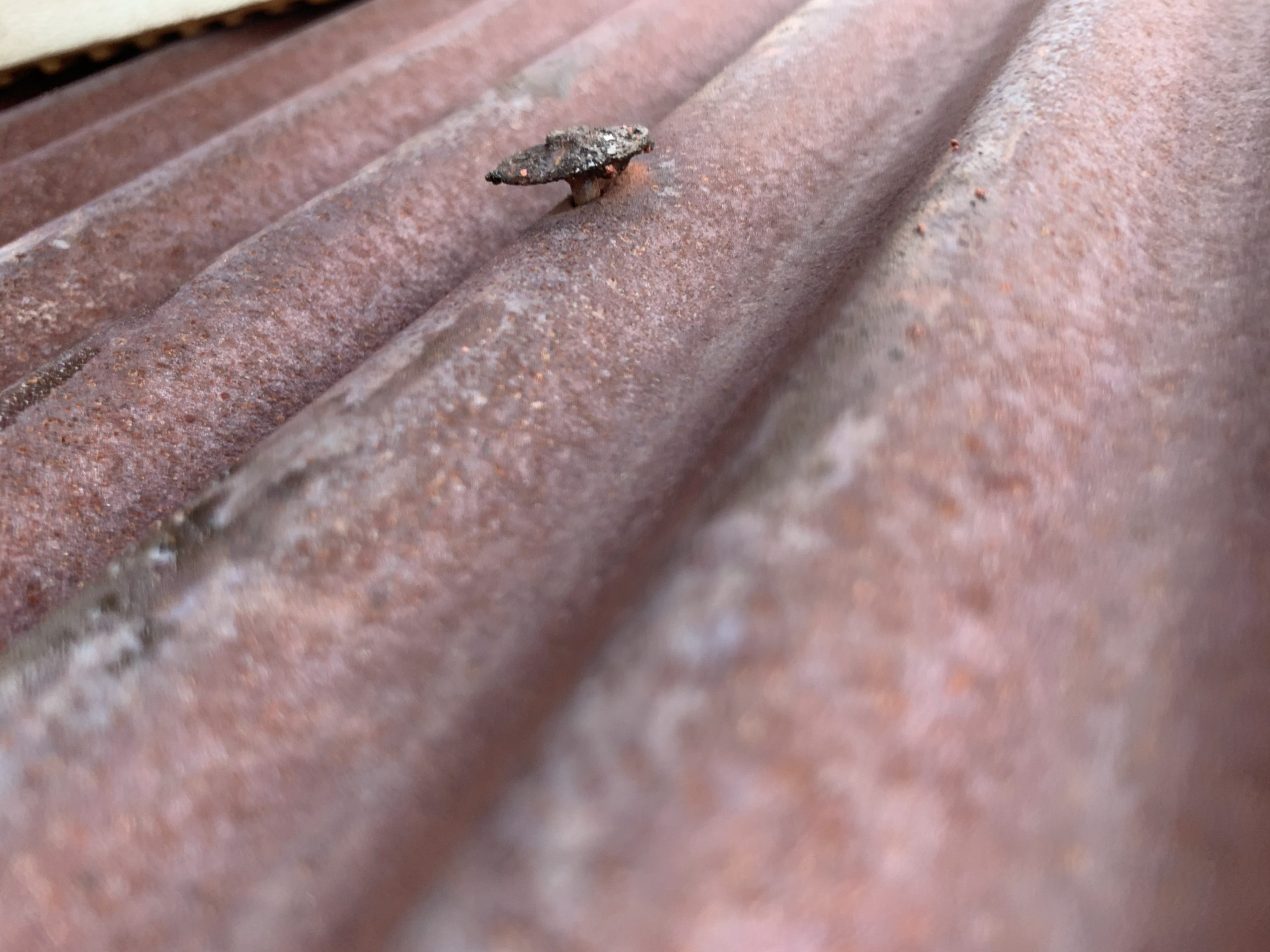 波板固定釘の浮き