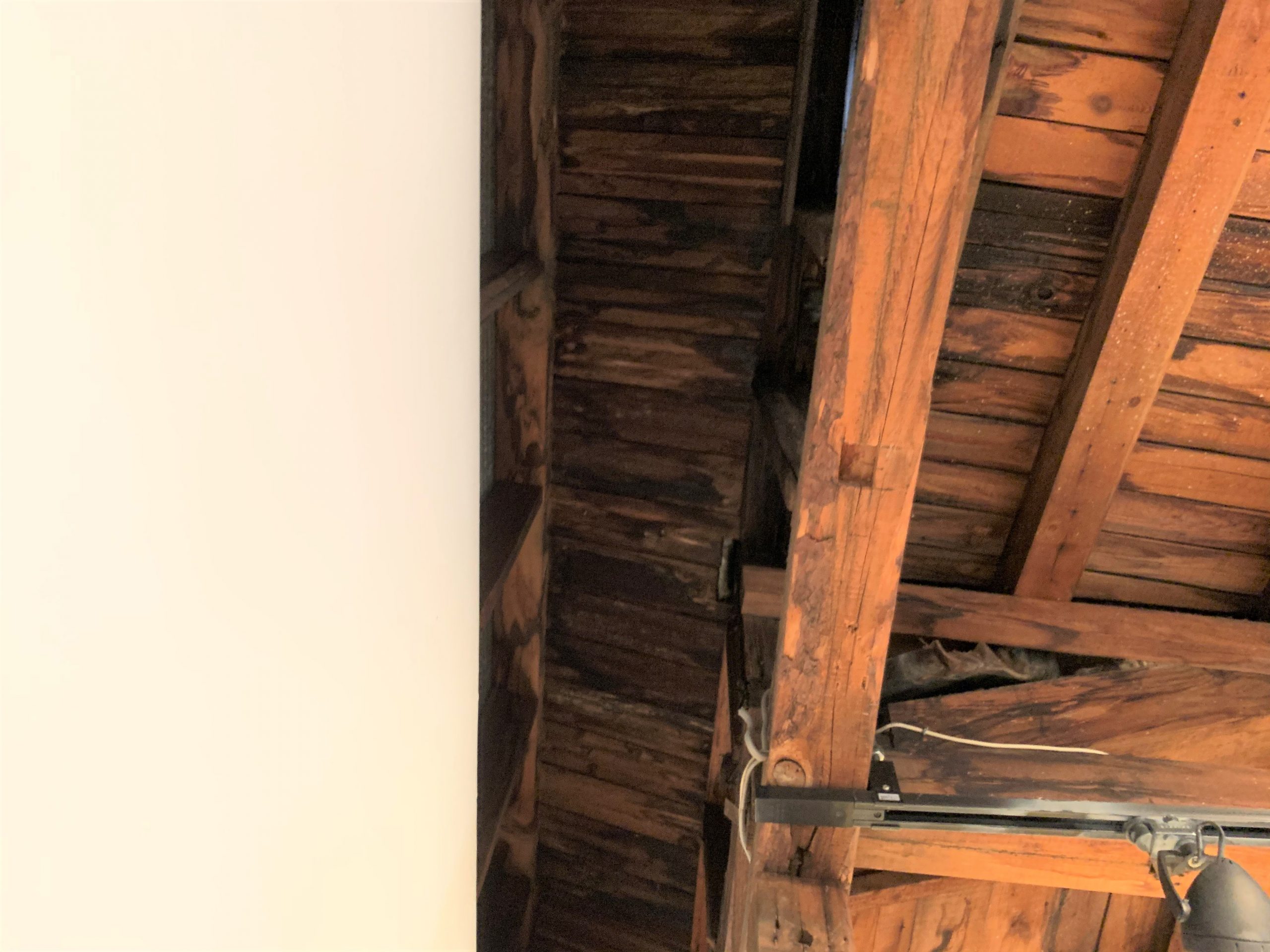 雨漏りが起こった場所