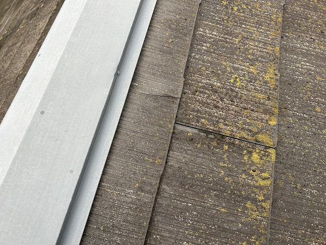 カラーベスト割れ