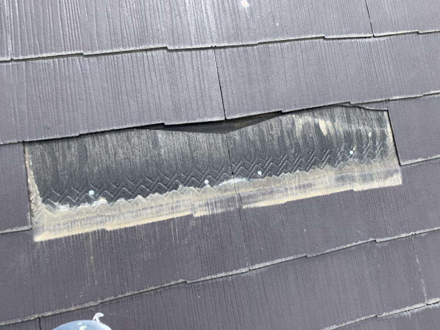 カラーベスト脱落部