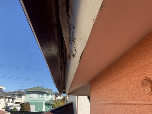 鼻隠し、野地板の腐食