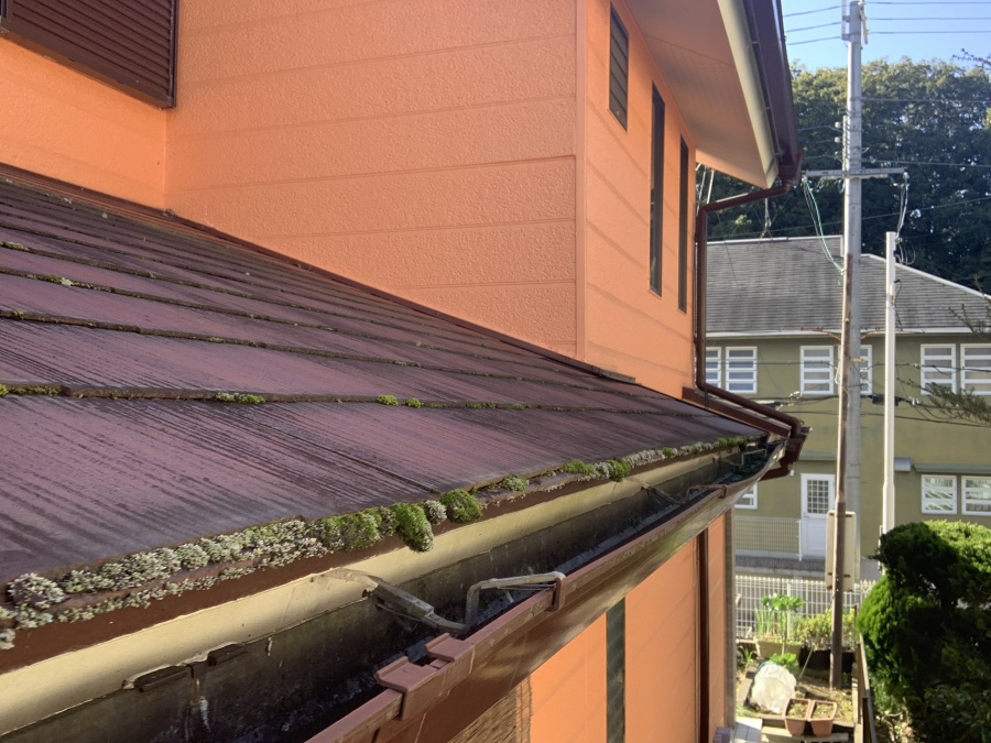 軒先の様子、苔の繁殖