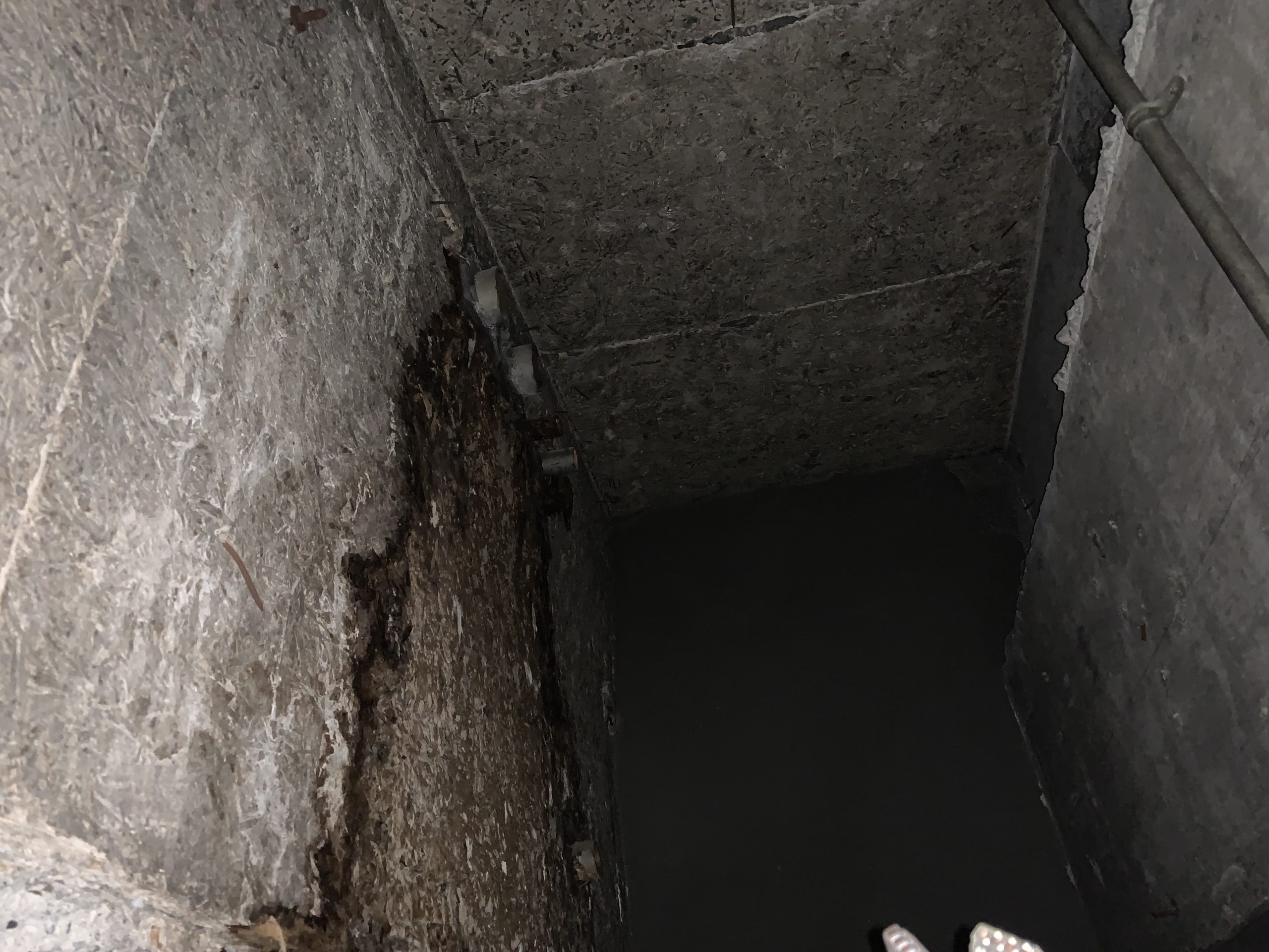 雨漏り箇所の天井裏