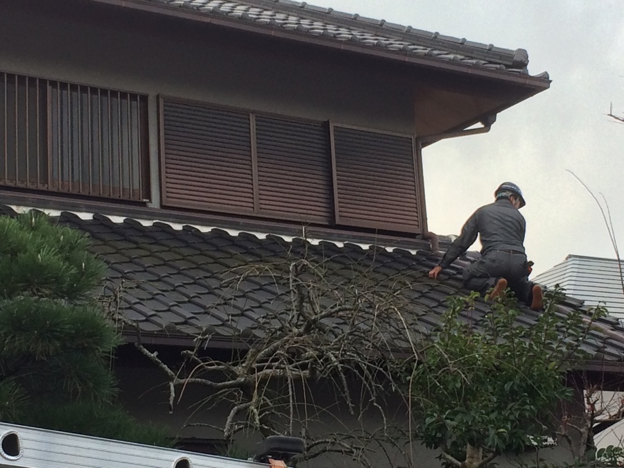 瓦屋根に実際に上がり現地調査