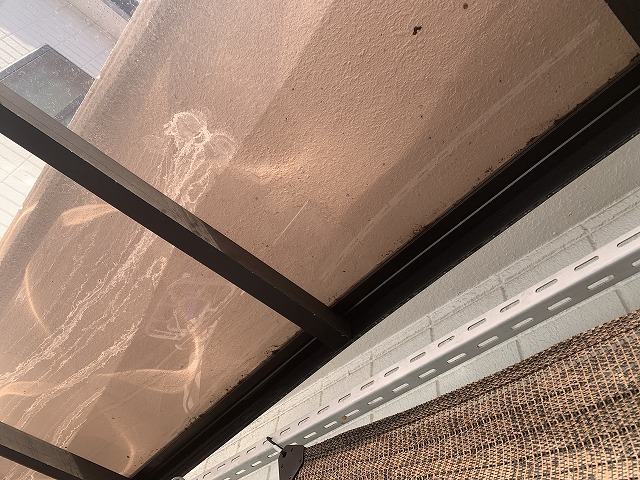 カーポートから雨漏り