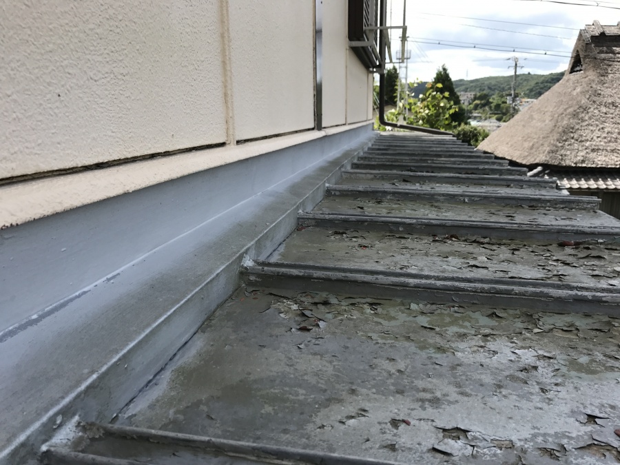 北面の屋根は苔が生えてきています。