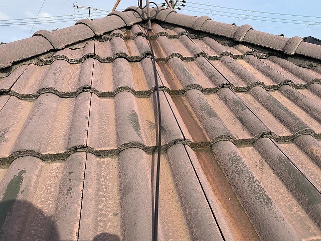 屋根にのぼり調査