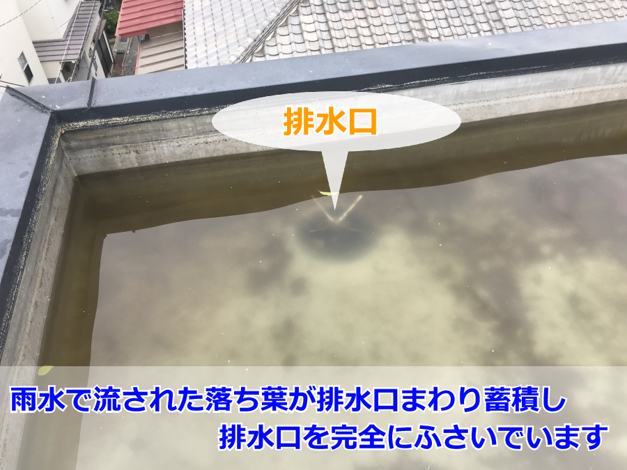 屋上の詰まった排水口