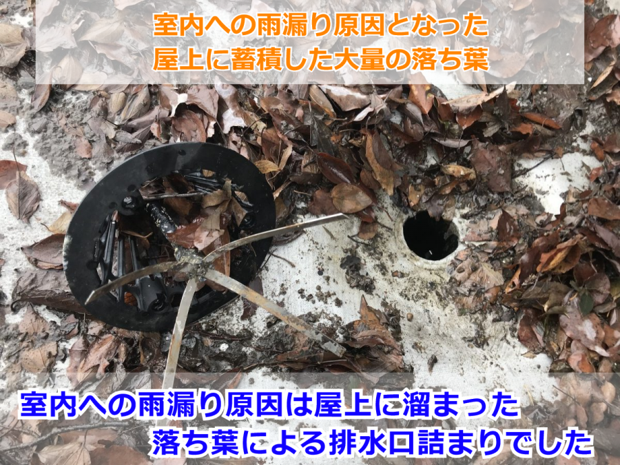 排水後の屋上に残された大量の落ち葉