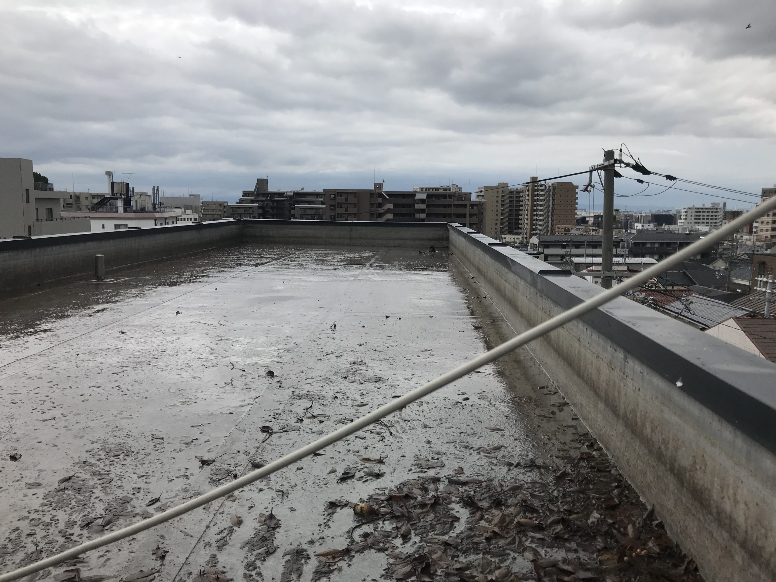 落ち葉を清掃していきます