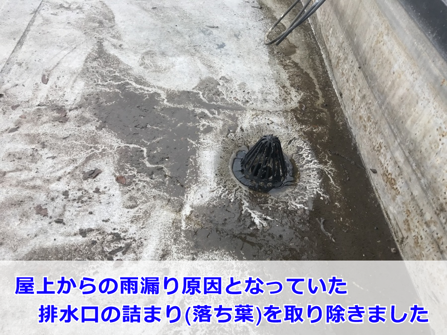 屋上の排水口詰まり(落ち葉)を除去した後の排水口まわりの様子