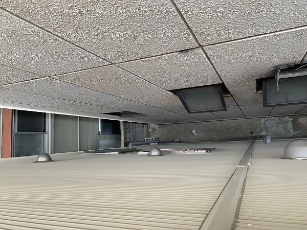 外壁は入り込みそうな場所はありません