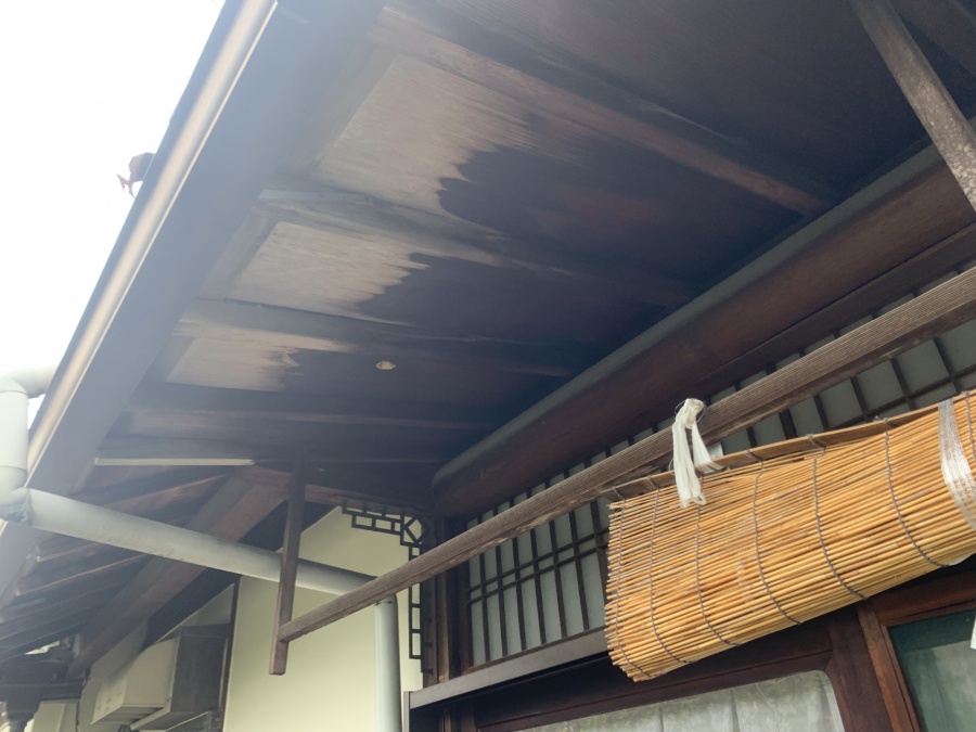 軒裏の様子、雨漏りにより変色しています。