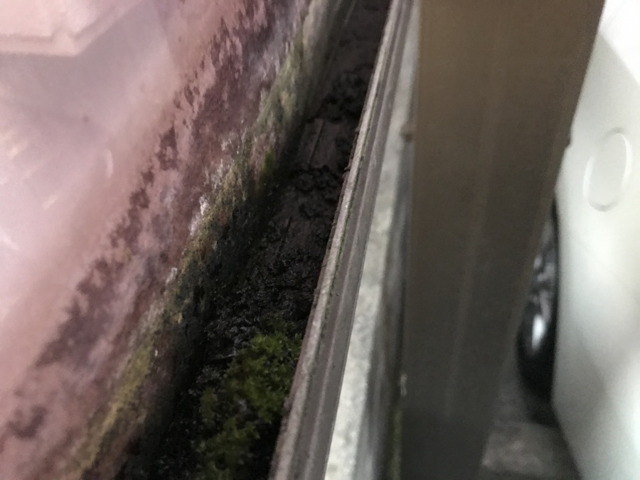 ーポート屋根工事前樋清掃