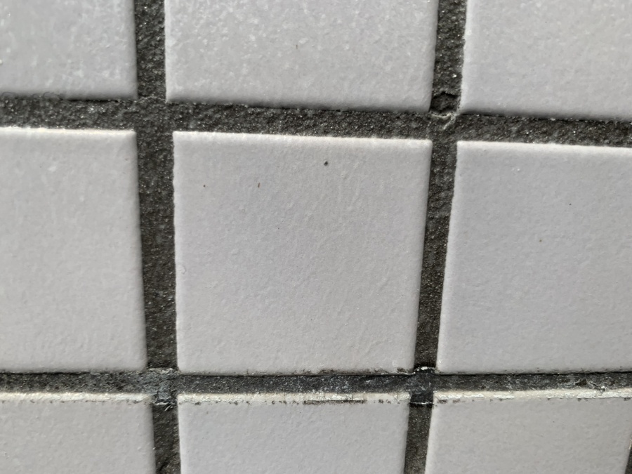 タイル目地現状