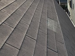 カラーベスト抜け落ち部