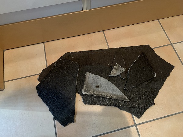 落ちてきたカラーベスト