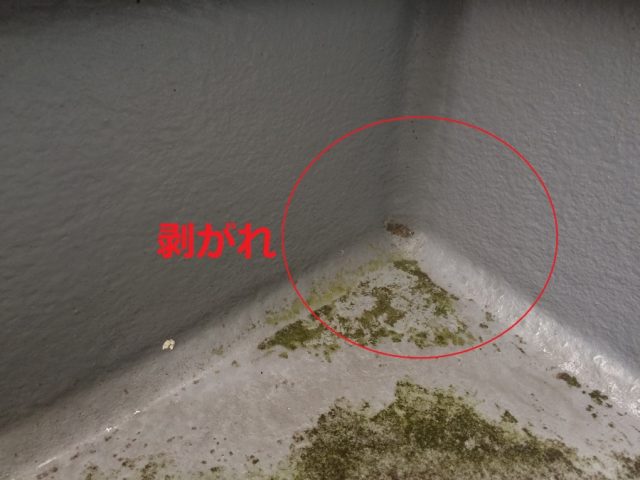 雨漏り防水調査時の塗膜剥がれ